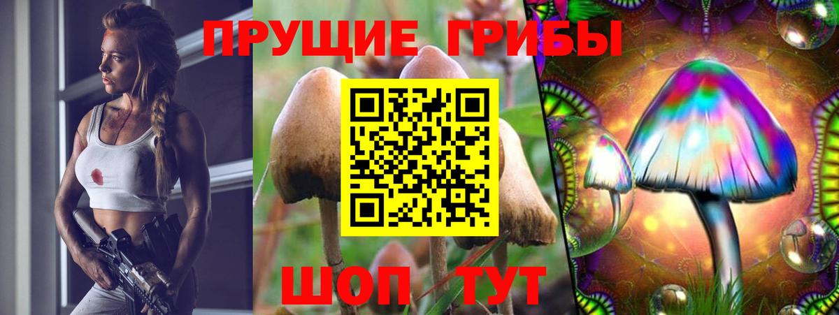 Псилоцибиновые грибы ЛСД Мариинск