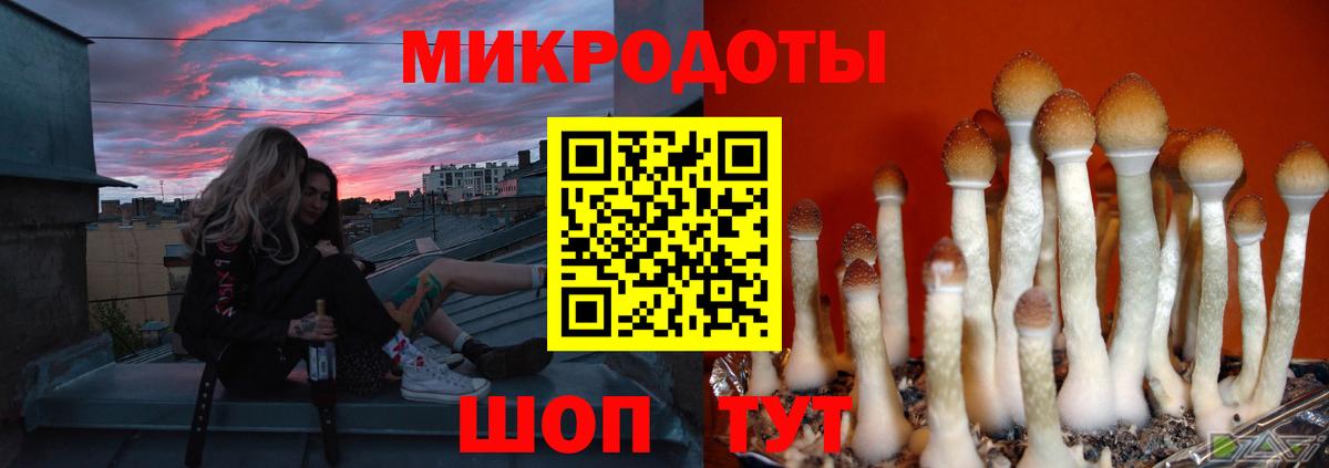 Мариинск  Галлюциногенные грибы мухоморы  Вход с VPN  Псилоцибиновые грибы ЛСД 